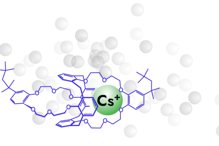 macrocycles macrolig