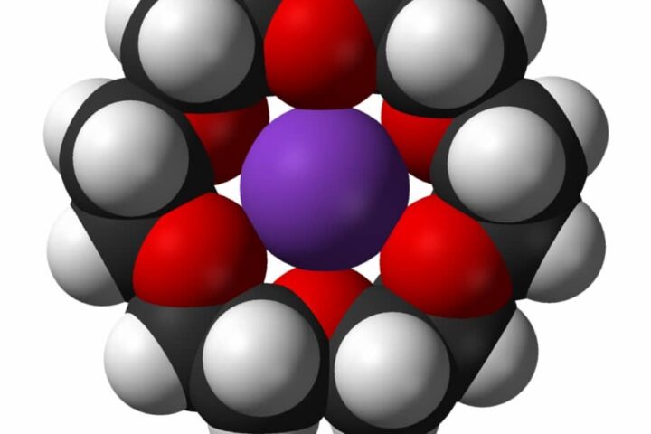 Remarkable Growth of Macrocyclic Chemistry