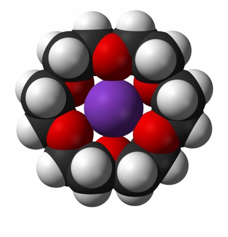 Remarkable Growth of Macrocyclic Chemistry